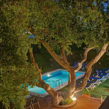 With Private Pool And Garden In